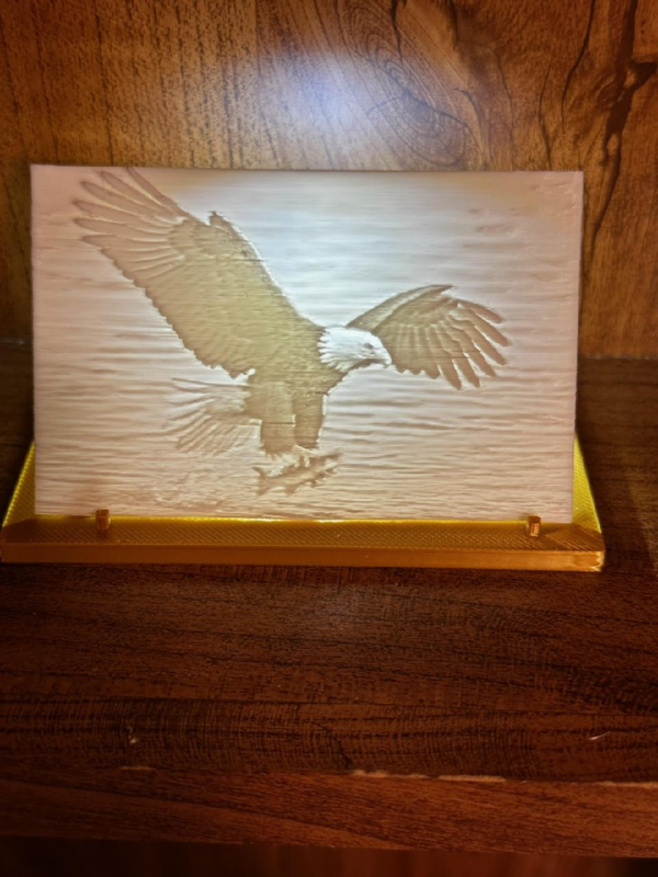 Eagle Fishing CC