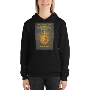 Defending the Unborn Hoodie – Psalm 139:13 Patriotic Faith Edition